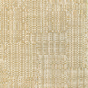 SEEDBED - GOLDEN OLIVE