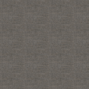 SUMPTUOUS - GRAY