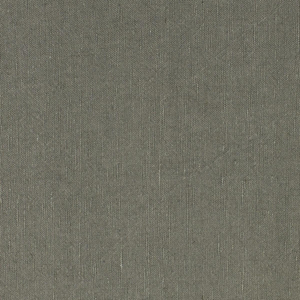 LINNET - 01