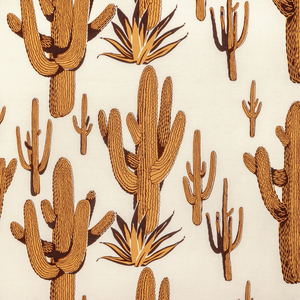 CACTI LAND - SAFFRON