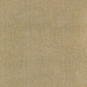 CASANDRA - 01