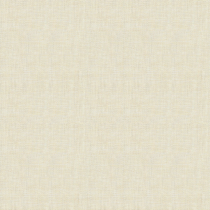 BASICS - 30299-111