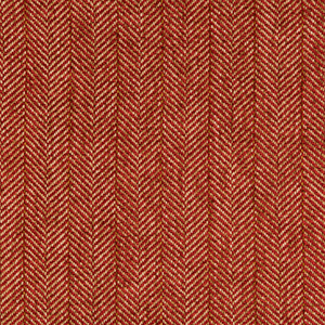 BASICS - 35776-19