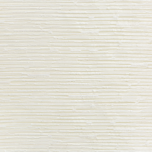 BASICS - 4681-101