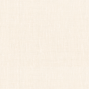 BASICS - 4325-1