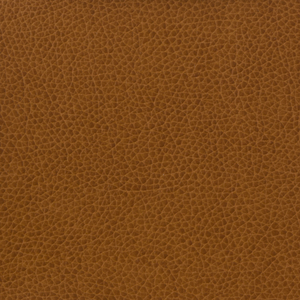 BASICS - MATTER-616