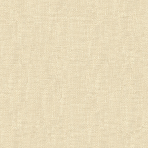 BASICS - 4118-1