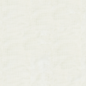 BASICS - 4108-101