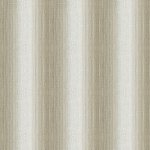 BASICS - 4123-11