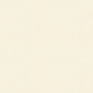 BASICS - 30299-1