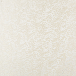BASICS - 34412-1