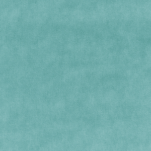 BASICS - 33299-52
