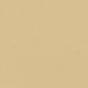 BASICS - 35916-16