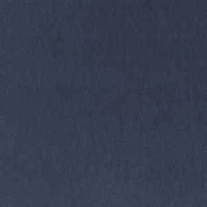 BASICS - 33299-50