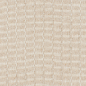 BASICS - 37274-161