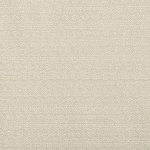 BASICS - 9789-11