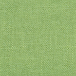 BASICS - 24573-3333