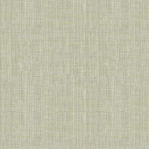 BASICS - 30299-2111