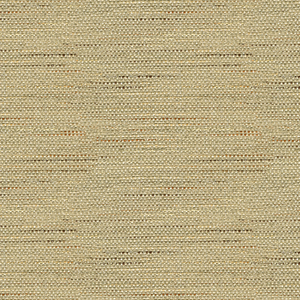 BASICS - 33135-106