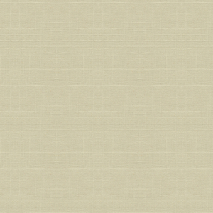 BASICS - 30808-1