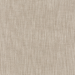 BASICS - 37264-1161