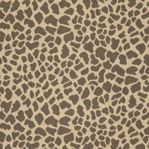 DAKTARI - LEOPARD
