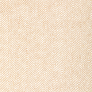BASICS - 36343-106