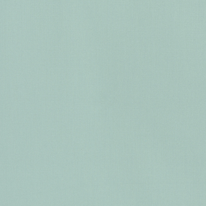BASICS - 36055-135