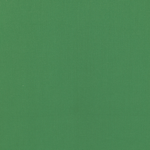 BASICS - 36055-3