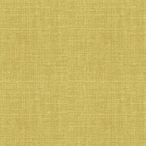 BASICS - 33842-130