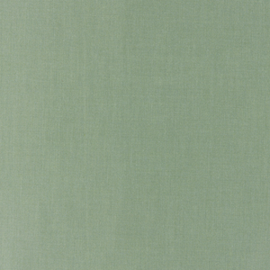 BASICS - 35372-130