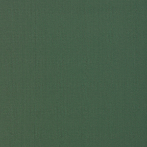 BASICS - 37578-135