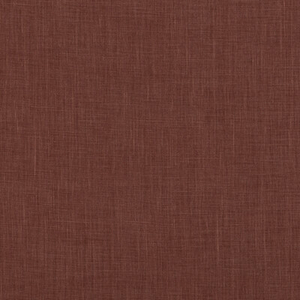 BASICS - 33767-119