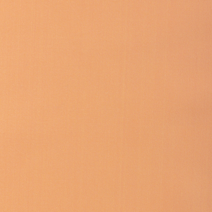 BASICS - 37578-1216