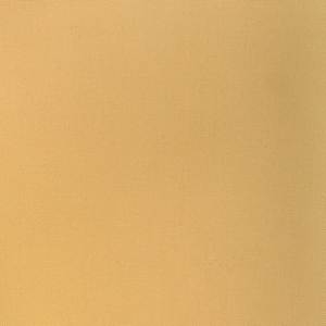 BASICS - 36656-4