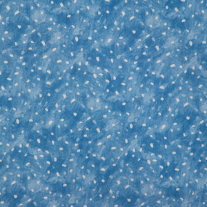 STARRY SKY - OCEAN