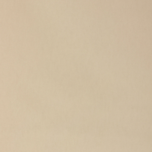 BASICS - 37690-101