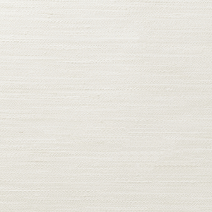 BASICS - 4854-101