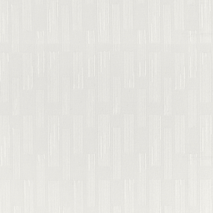 BASICS - 4863-1