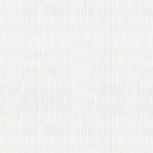 BASICS - 3691-101