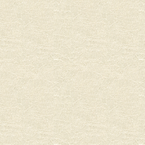 BASICS - 4114-101