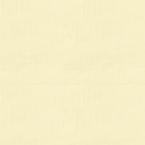 BASICS - 8790-1001