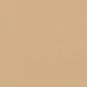 BASICS - 35916-717