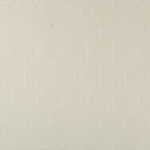 BASICS - 4697-101