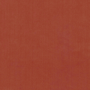 BASICS - 35916-24