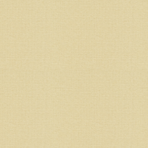 BASICS - 4113-16