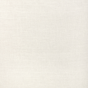 BASICS - 90085-101
