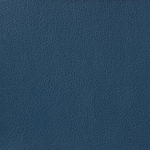 BASICS - OTTO-5
