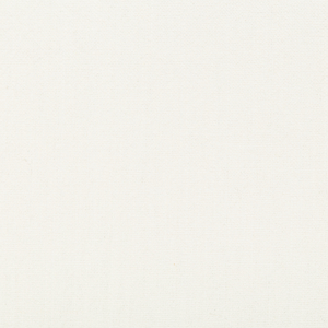 BASICS - 34894-101