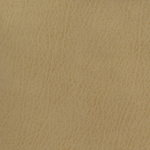 BASICS - CELINE-106